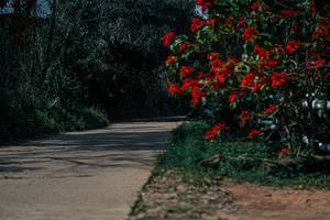 BIB: 
                            <button type="button" onclick="openModal(26139670)" class="btn btn-primary btn-sm float-right btn-popup" data-toggle="modal" data-target=".modal-high-quality">
                        <i class="fas fa-shopping-cart"></i> Add to Cart
                    </button>
                                            <button type="button" onclick="isThisMe(26139670, true)" class="btn btn-success btn-sm float-right btn-popup btn-isme hidden" data-toggle="tooltip" data-placement="bottom" title="นี่คือรูปของคุณใช่ไหม คลิกที่นี่เพื่อเอาเข้าอัลบั้ม">
                        <i class="fas fa-plus"></i> Add to album
                    </button>
                    <button type="button" onclick="isThisMe(26139670, false)" class="btn btn-warning btn-sm float-right btn-popup btn-isnotme hidden">
                        <i class="fas fa-ban"></i> Remove from album
                    </button>